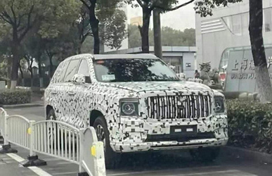 «Китайский Rolls-Royce Cullinan» сравнили с Tank 700. Живые фото Tank 800